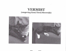 Pauli_vermist_2_preview_1397483214