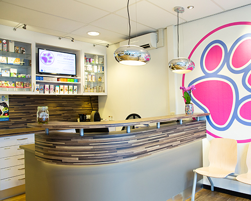 Balie van Dierenkliniek PETcomfort