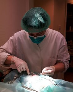 Dierenarts Severina tijdens een operatie