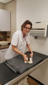 Dierenarts Brenda Dierenkliniek Petcomfort Utrecht